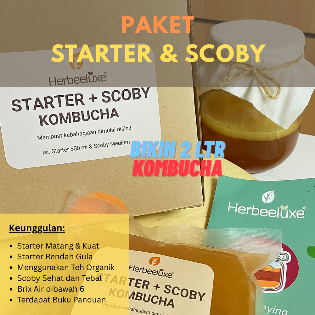 

Praktis! Paket Pemula Kombucha: Langsung Jadi 2 Liter Minuman Sehat I Paket STARTER & SCOBY Kombucha