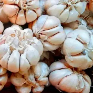 

Bawang Putih Bulat 100 Gram