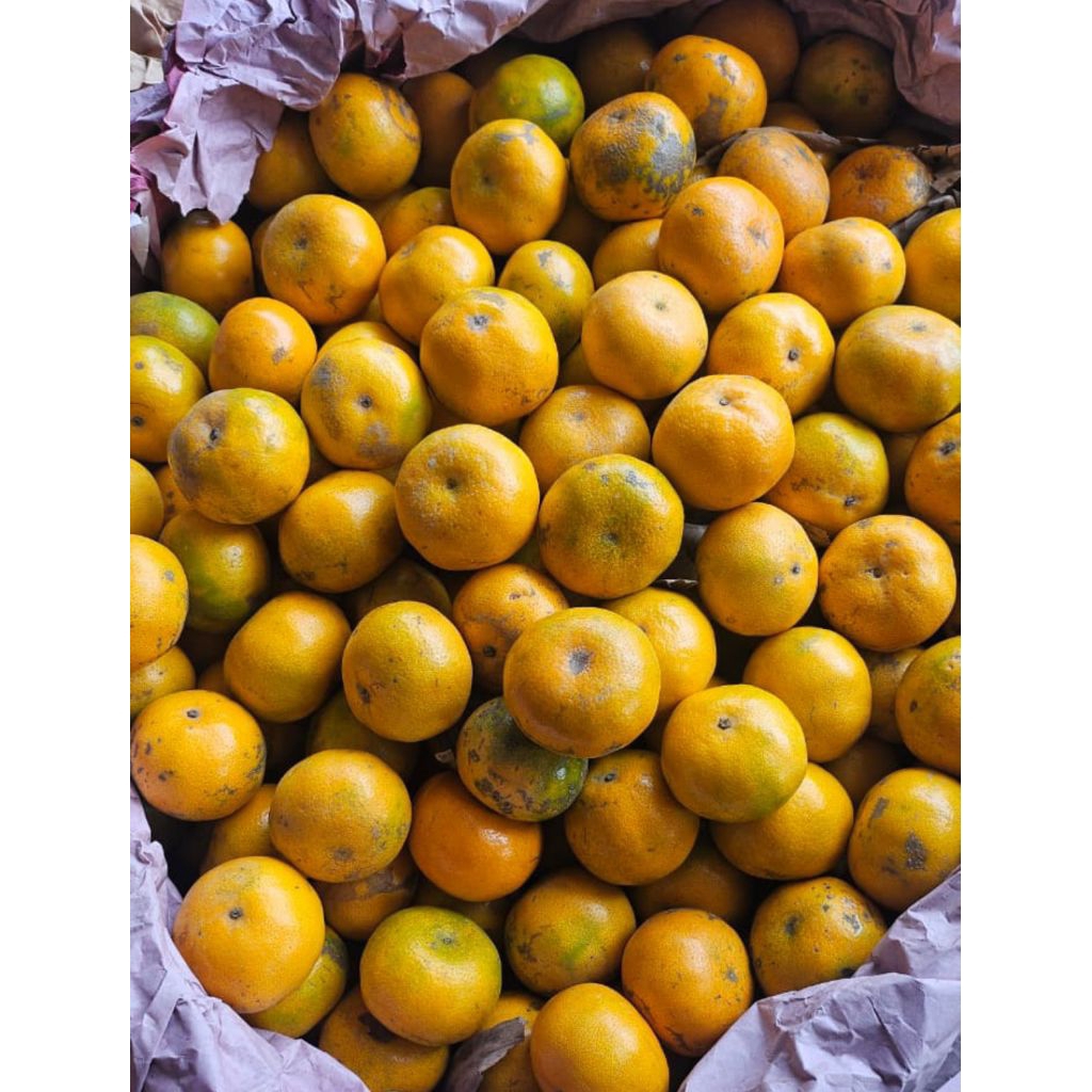 

jeruk medan 500gr