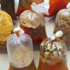 

Bumbu Giling Semur Untuk Ukuran 1 Kg Daging