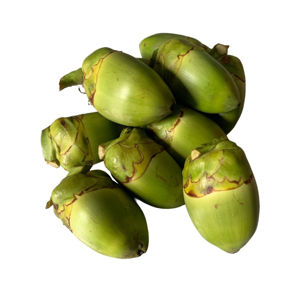 

Beluluk Buah Kelapa Kecil per 1 Biji