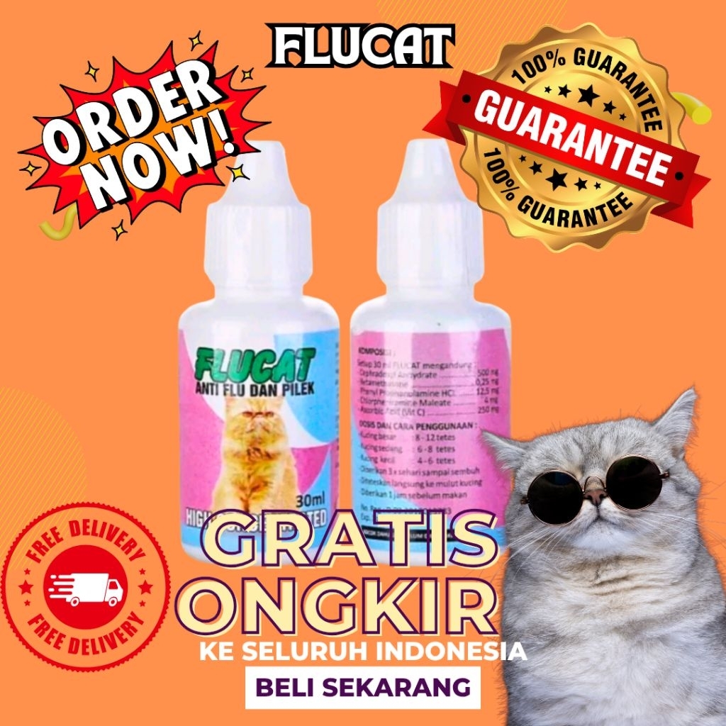 Flu kucing obat kucing flu