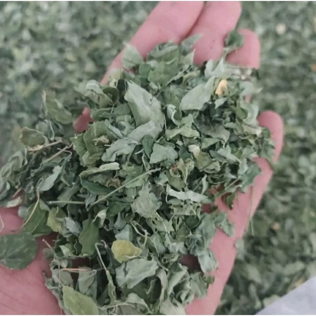 

Daun Kelor Kering 1KG Daun Moringa