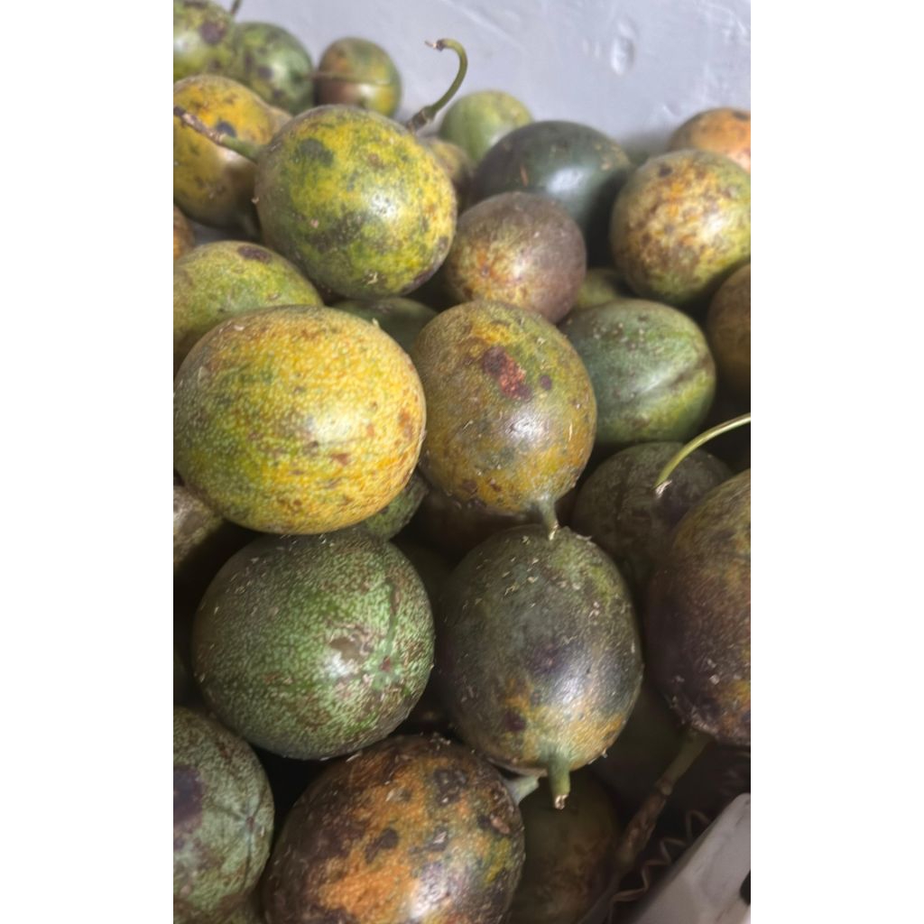 

markisa madu | konyal manis 1kg