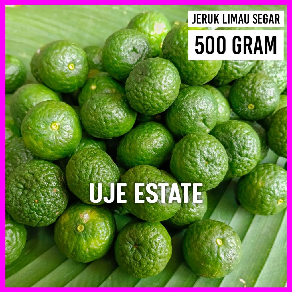 

JERUK LIMAU SEGAR 500 GRAM/JERUK LIMO JERUK LEMO JERUL LIMAU JERUK SAYUR JERUK SAMBAL 1/2 KG 500 GRAM