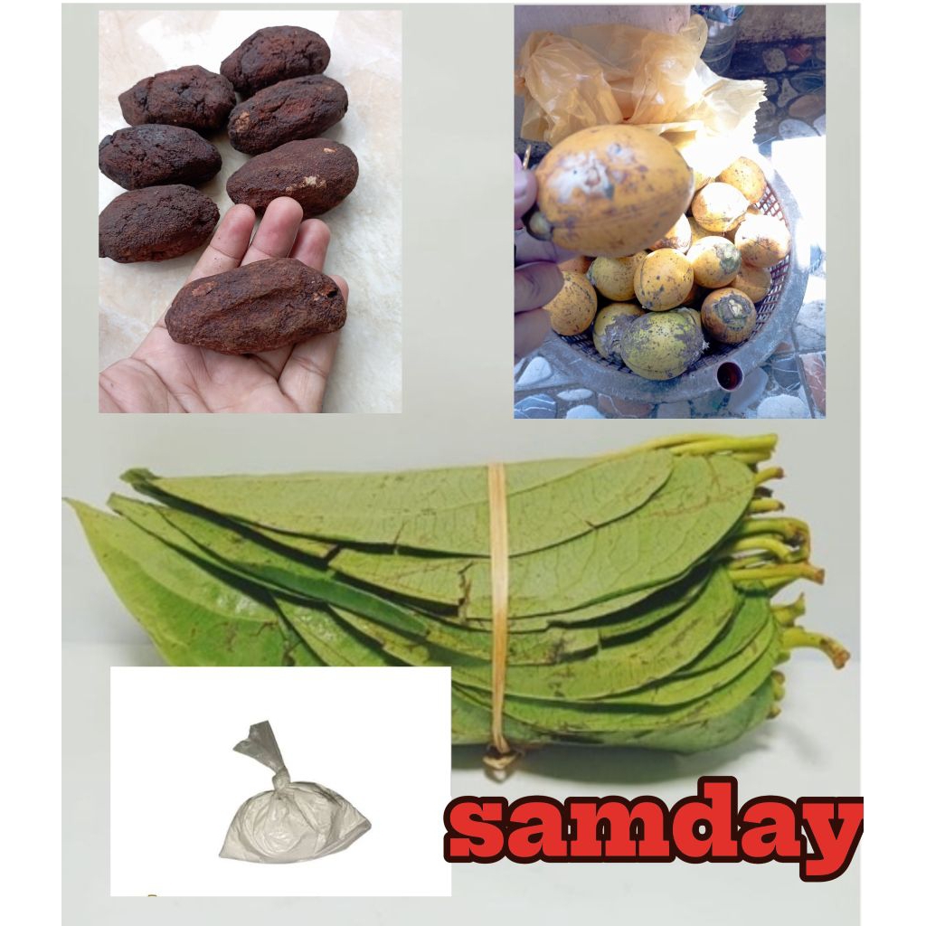 

kuh nyirih sirih 1 kepit, Gambir 1, kapur 1, pinang 1