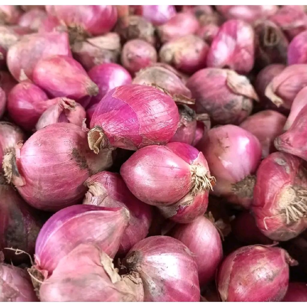 

bawang merah 250gram fress bawang merah lokal langsung kirim