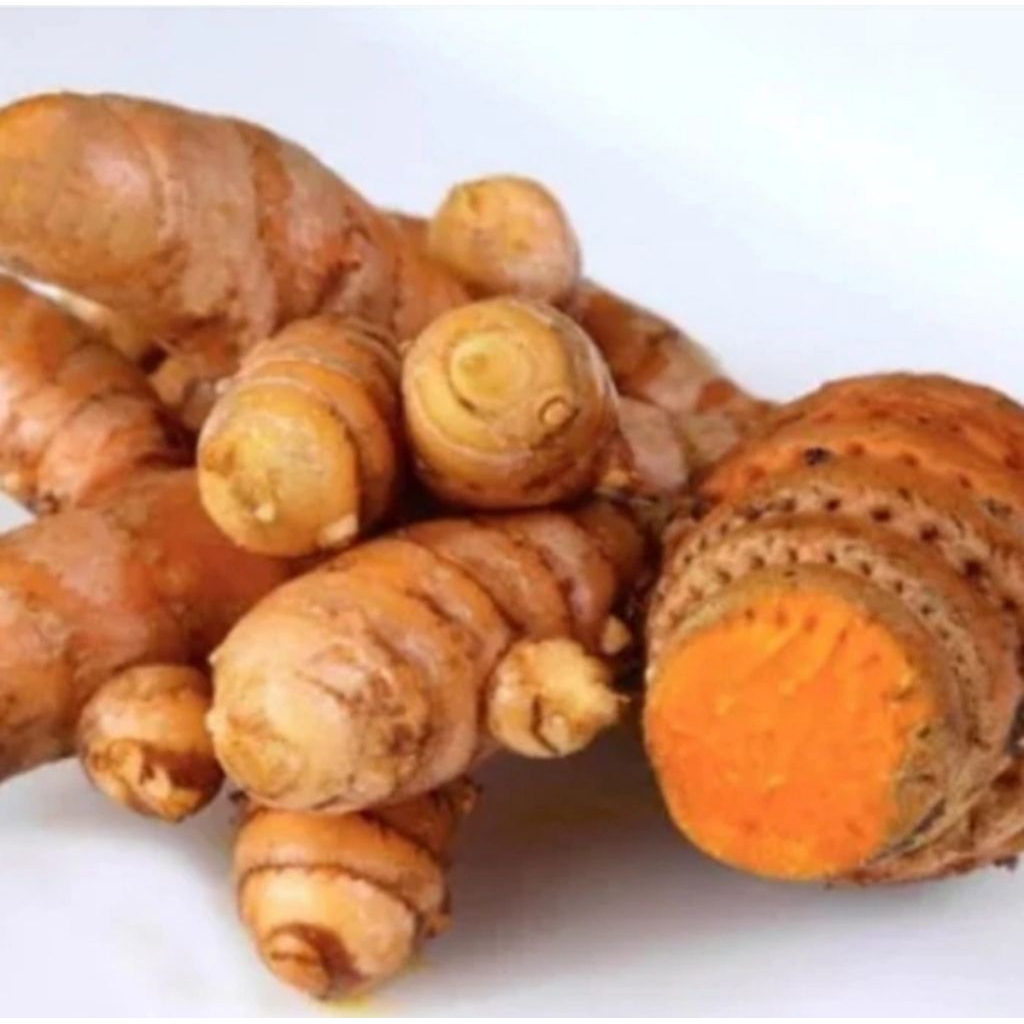 

Temulawak Organik 1kg Segar