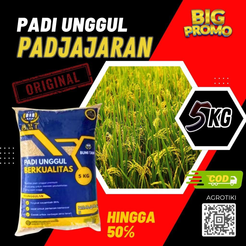 benih padi Padjajaran berat 5kg