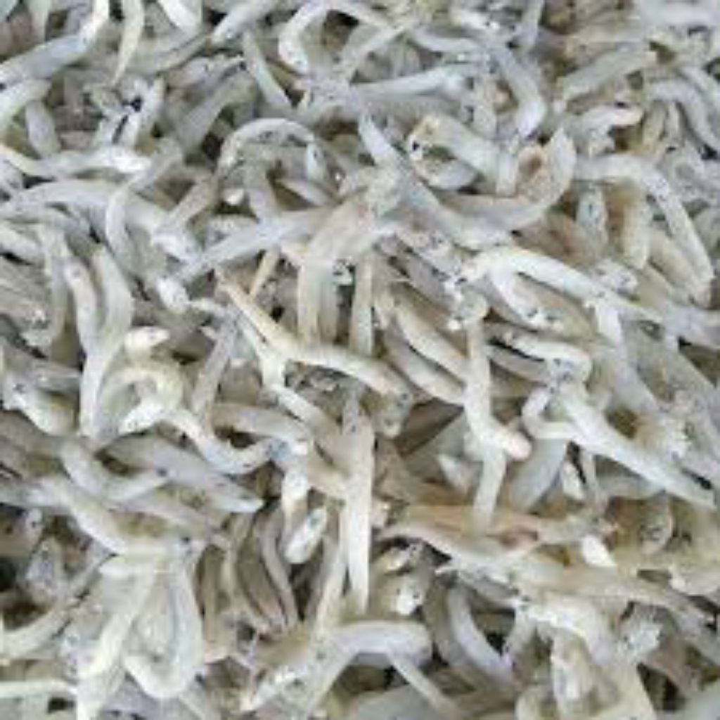 ikan teri asli, ikan teri asli medan, ikan teri termurah