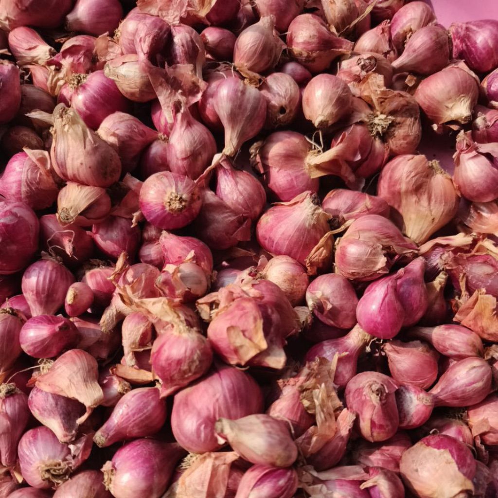 

BAWANG MERAH LOKAL 1KG TANGGUNG CAMPUR MURAH