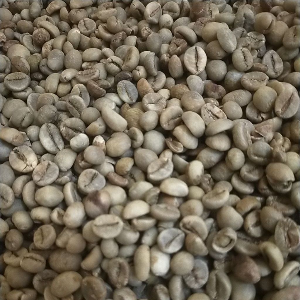 

BIJI KOPI ROBUSTA 1kg