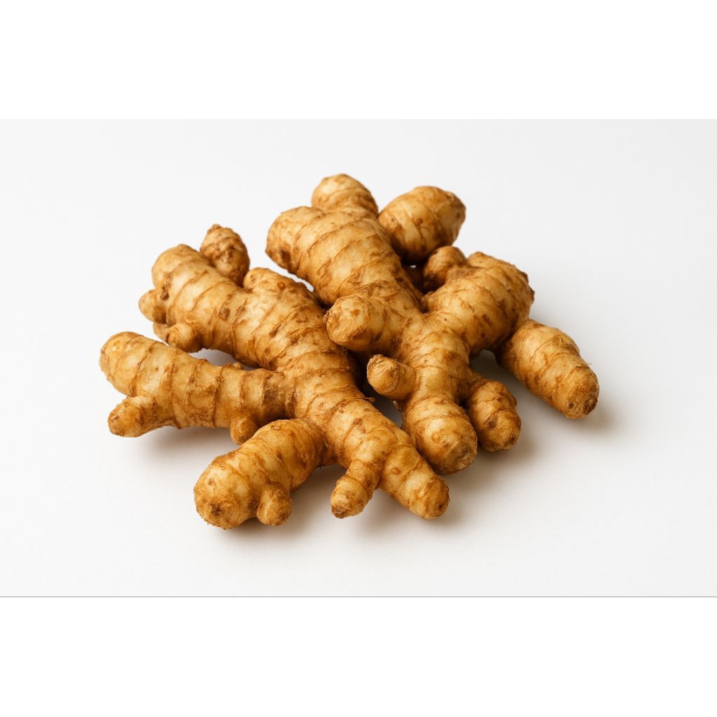 

KENCUR/CIKUR SEGAR FRESH TUA 1KG TERMURAH