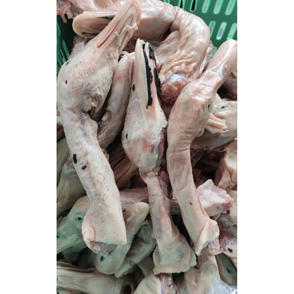 

(FROZEN) Kepala Bebek 1 Pack Isi 10