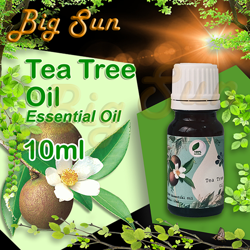 Tea Tree Essential Oil Murni / Minyak Tea Tree Oil / Tea Tree Essential
