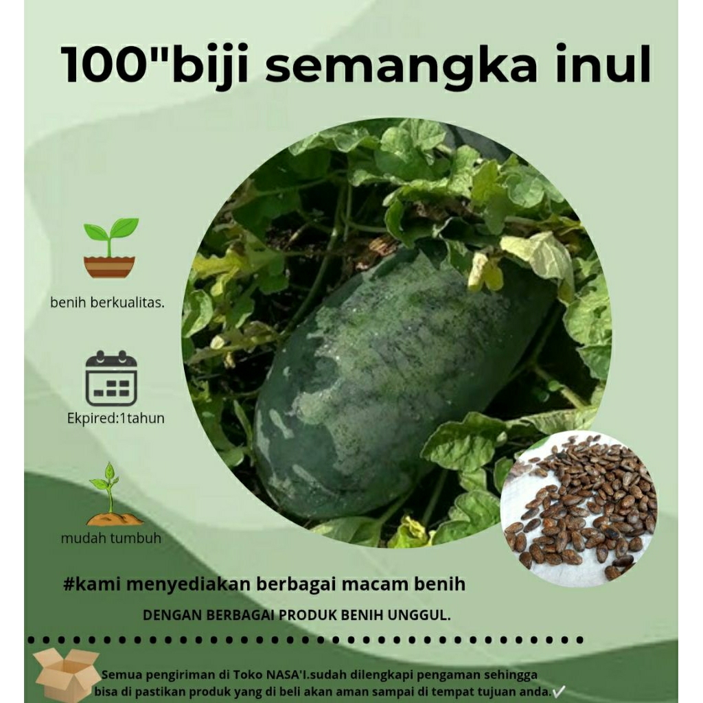 

100 biji>semangka Inul|berkualitas