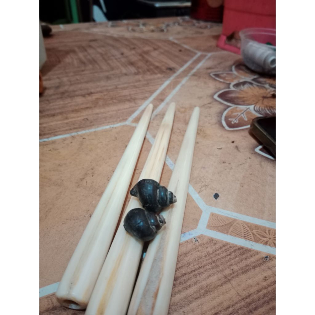 

BATU KEEONG SEPASANG 776