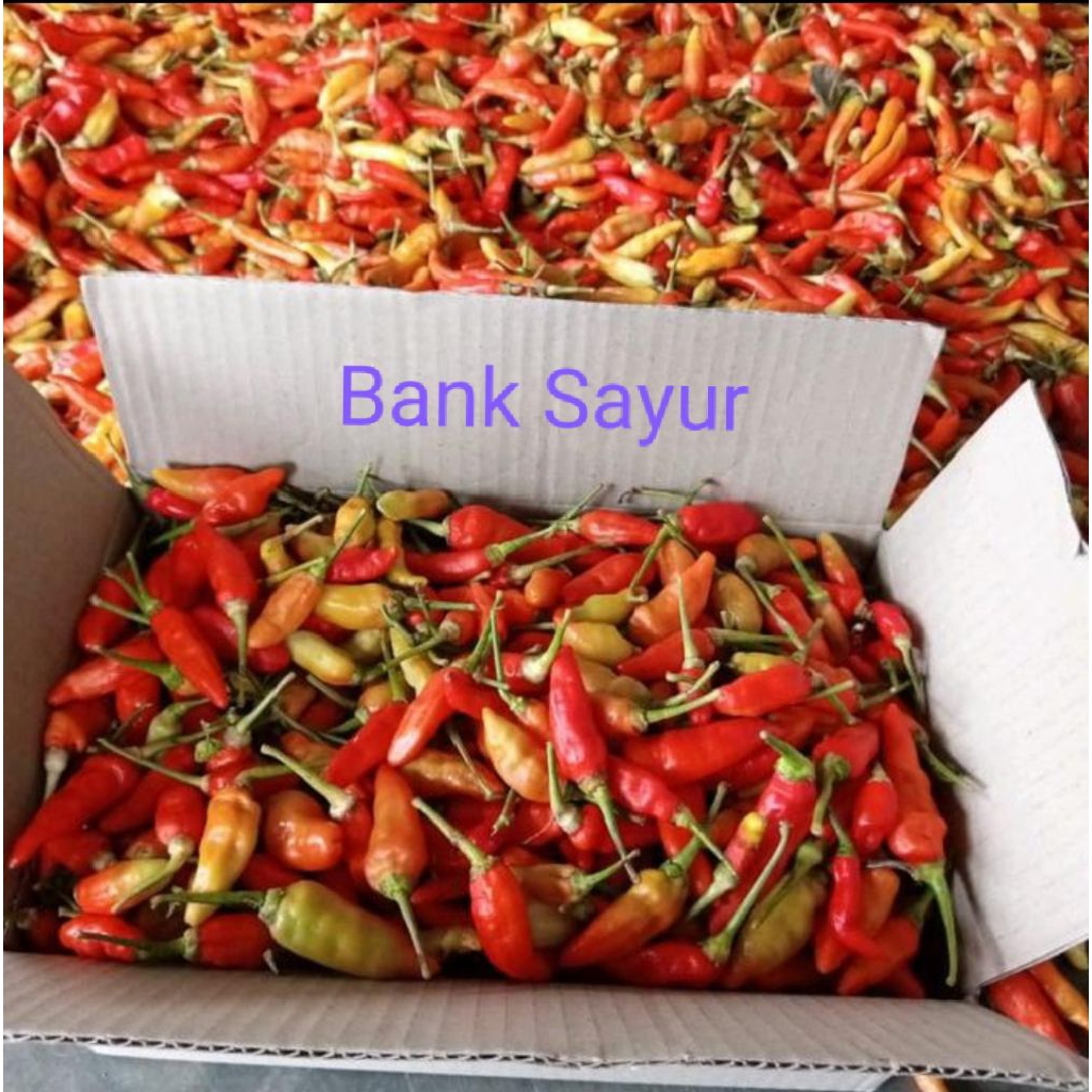 

Cabe / Lombok Rawit Merah