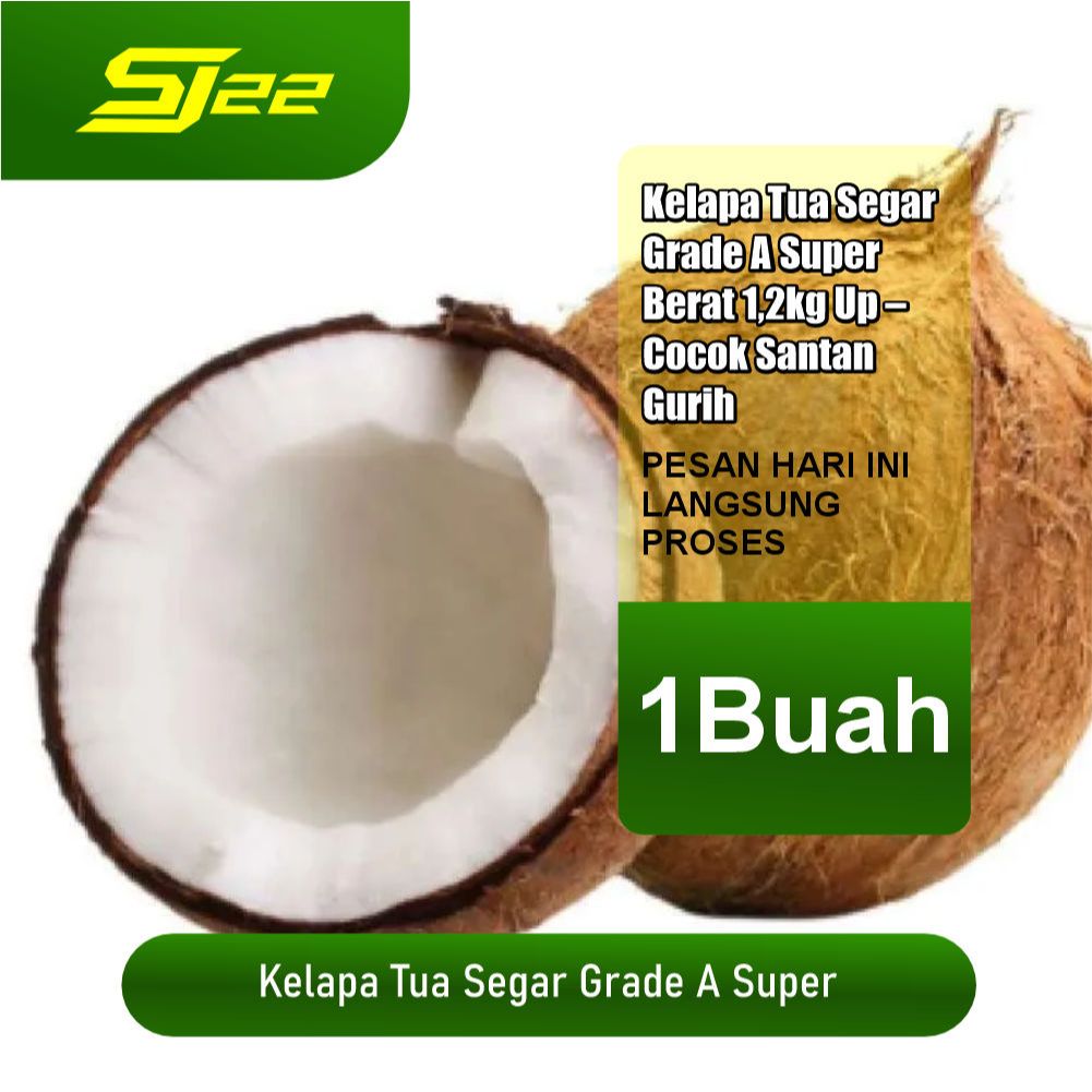 

Kelapa Tua Super Grade A >1200gr – Santan Kental Tebal Segar Premium
