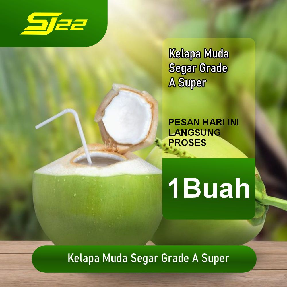 

Kelapa Muda Segar Asli – Air Kelapa Fresh Pelepas Dahaga & Energi Alami