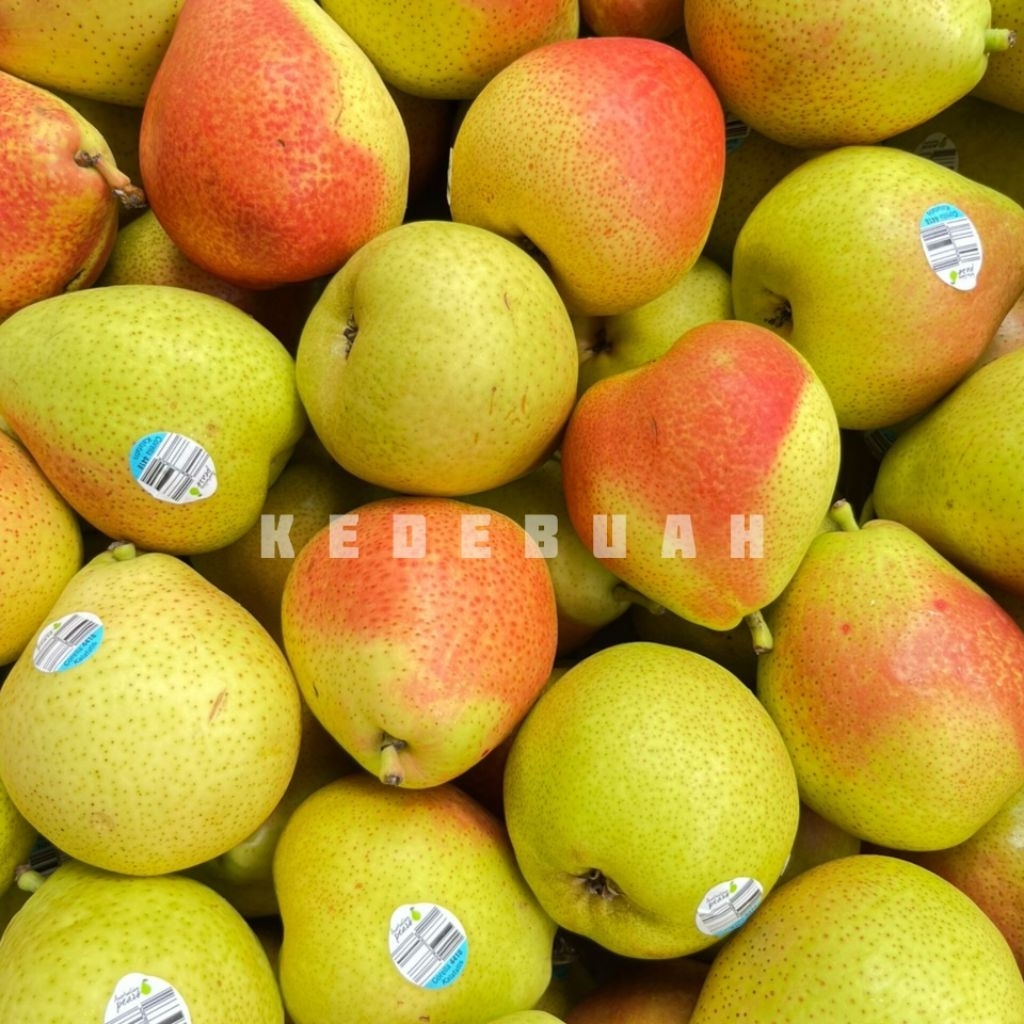 

Pear Corella Australia