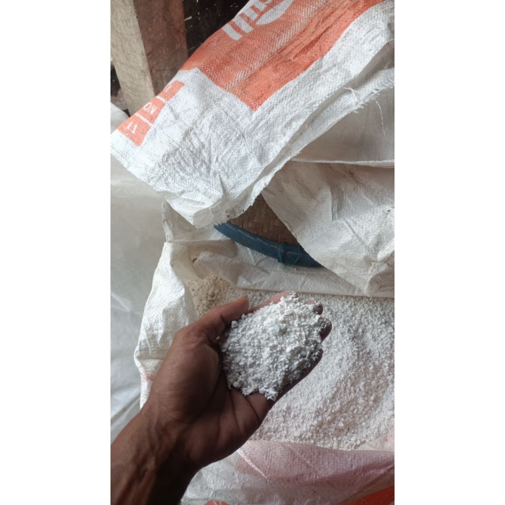 Aci kriwil/Aci kasar buat adonan mengembang