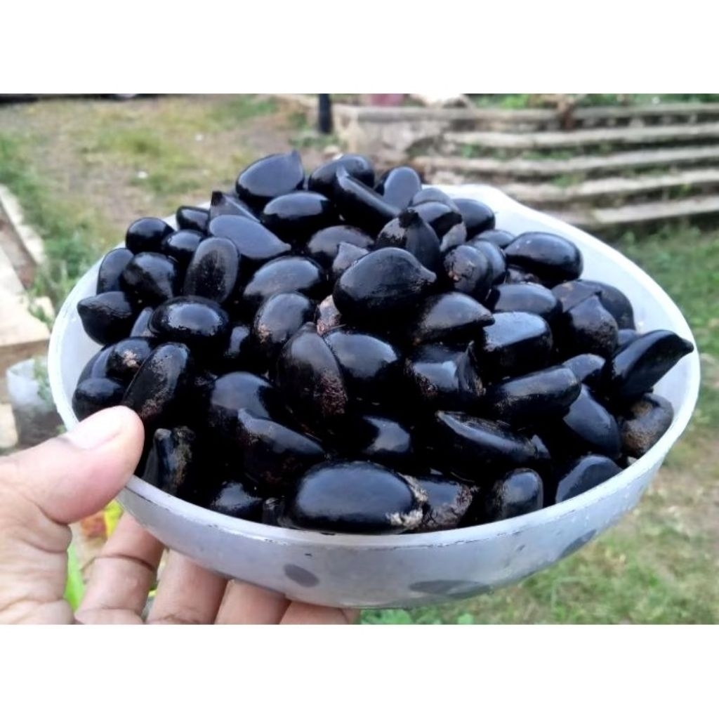 

Biji Aren Genjah grade - A 1 kg