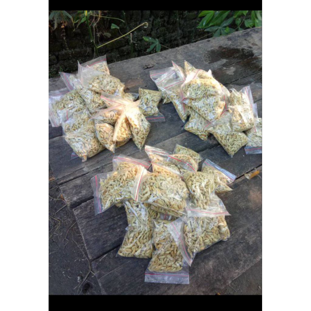 

biji jeruk purut siap semai