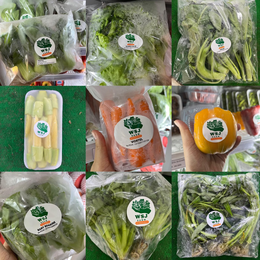 

SAYURAN HIDROPONIK FRESH SEGAR WORTEL JAGUNG SAYUR TOMAT SELADA SALAD SEHAT BERSIH