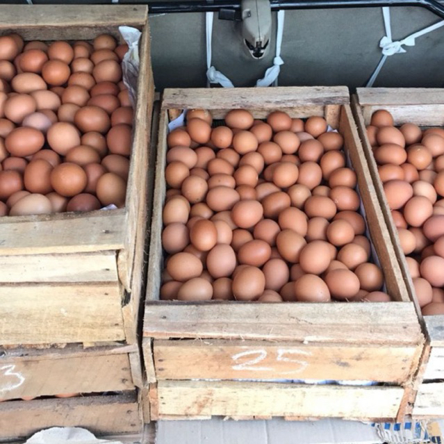 

TELUR AYAM 1kg | GRATIS ONGKIR INSTAN