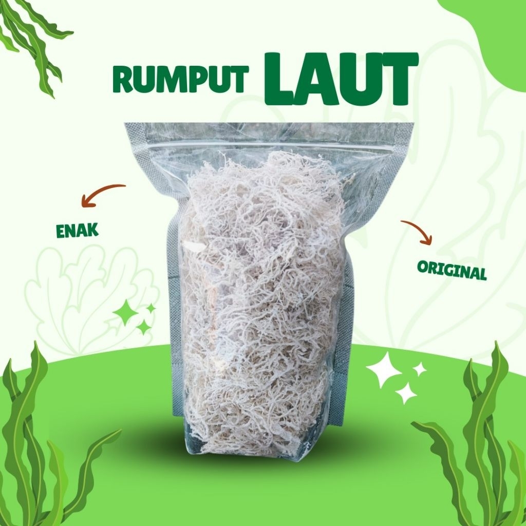 

Rumput Laut KERING 100% Cocok Untuk Campuran Es dan Rujak