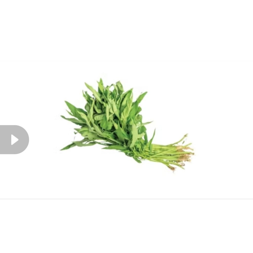 

kangkung sayur segar