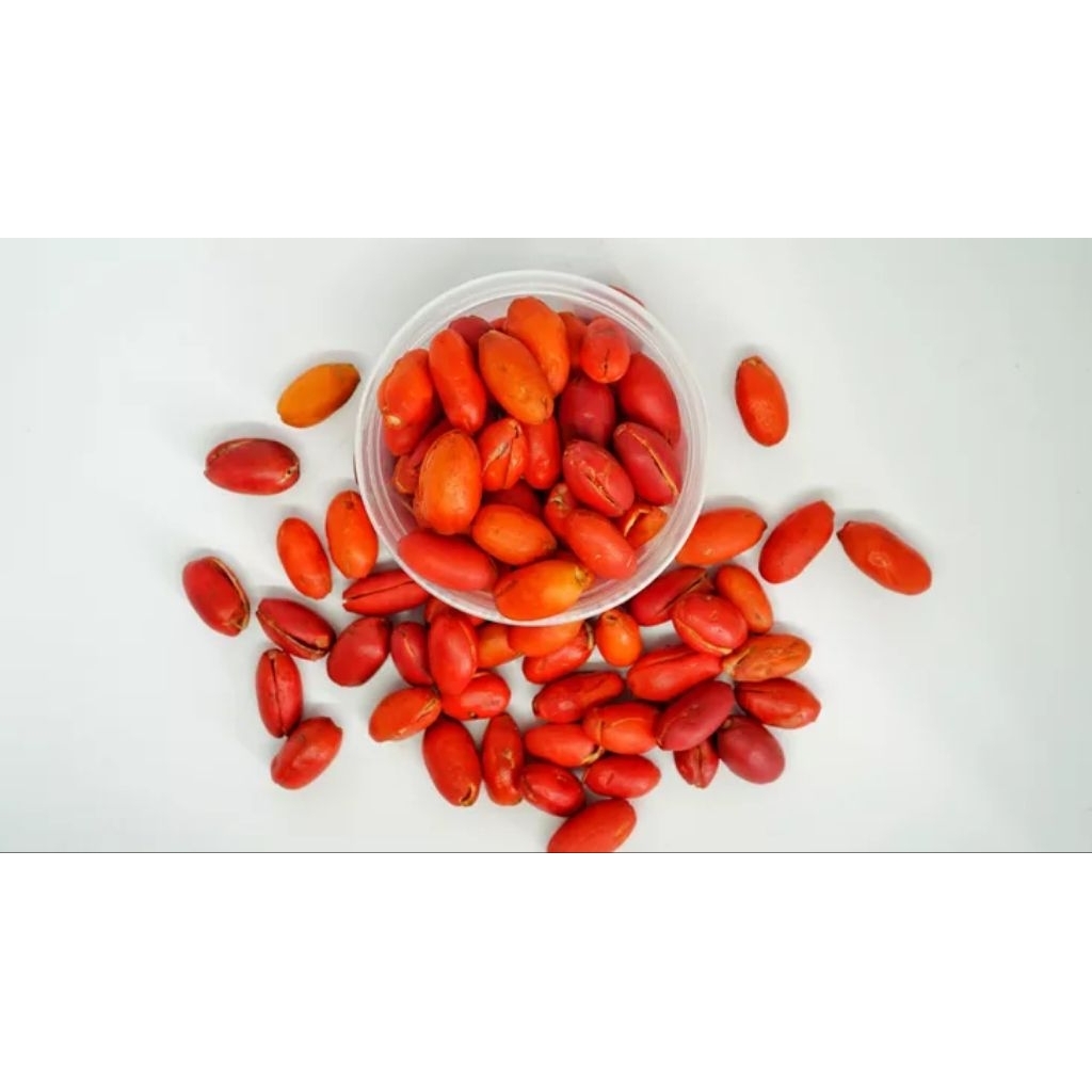 

kulit melinjo segar 1 kg