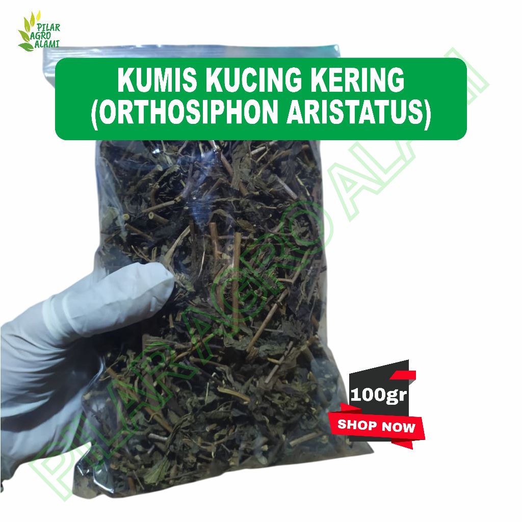 

Kumis kucing 100gr sudah dikeringkan