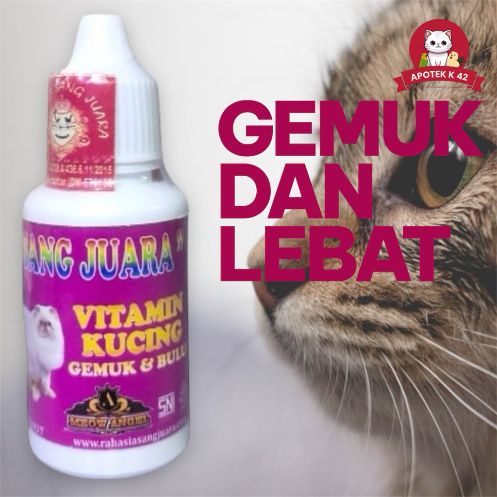 vitamin kucing gemuk dan bulu lebat