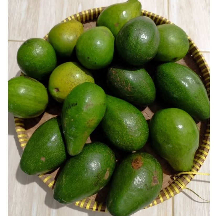 

Alpukat Mentega Lampung 4-5 pcs per kilo