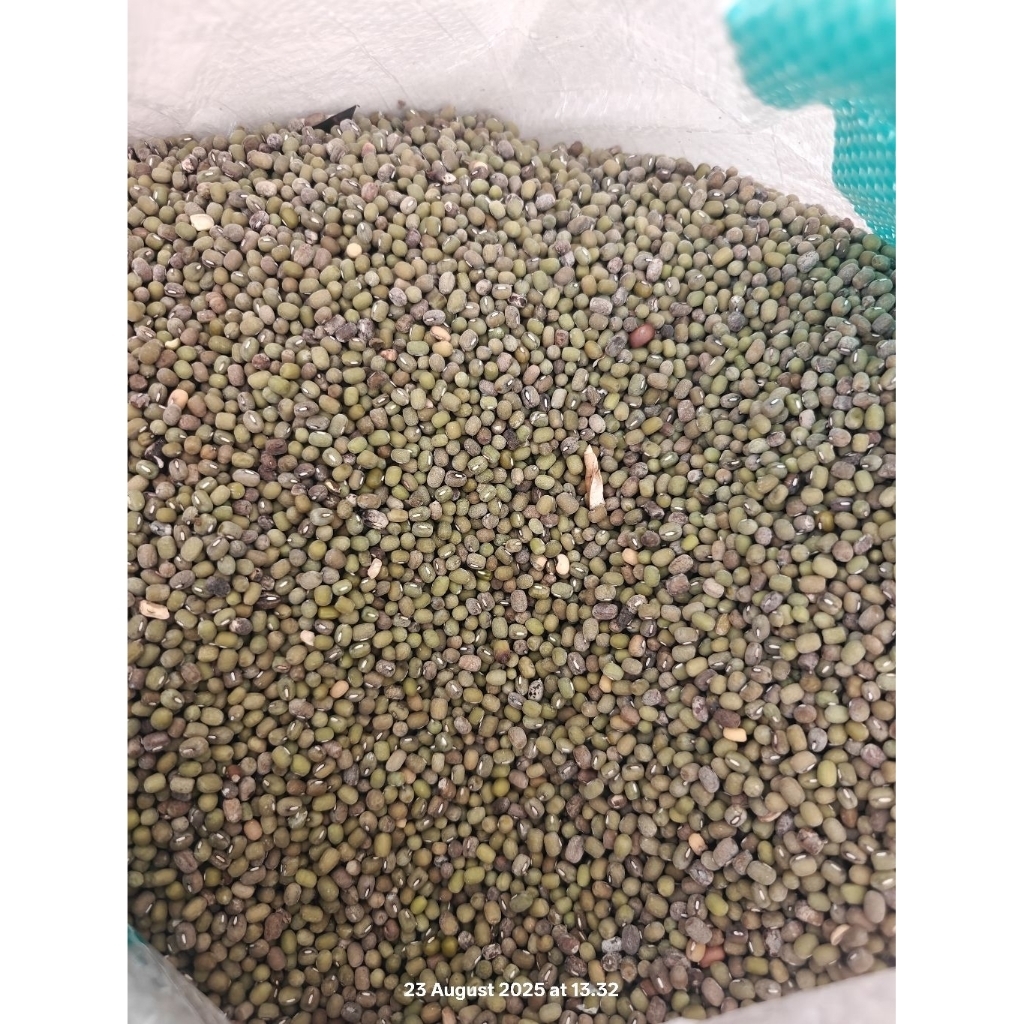 

Kacang Hijau 1Kg