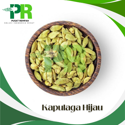 

25g Biji Kapulaga Hijau India Alami Green Cardamom Premium / Bumbu Pelengkap Masakan Biji Kapulaga Hijau Arab Wangi 25 Gram Pusatrempah
