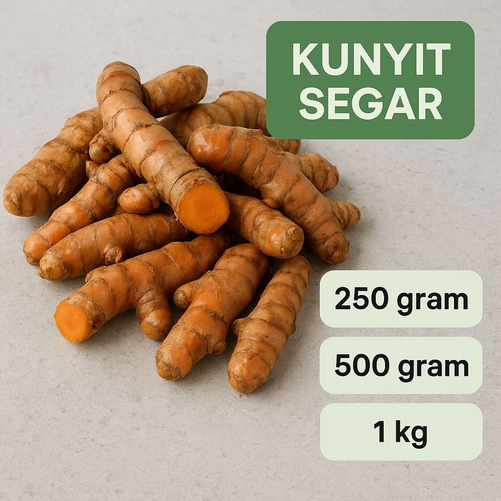 

Kunyit Segar Asli Pilihan – Rempah Dapur, Jamu Tradisional, Herbal Alami