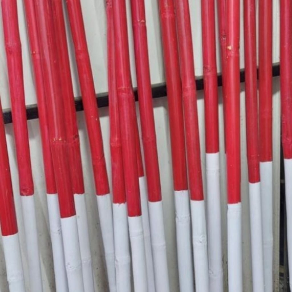 tongkat bambu peramuka 160cm