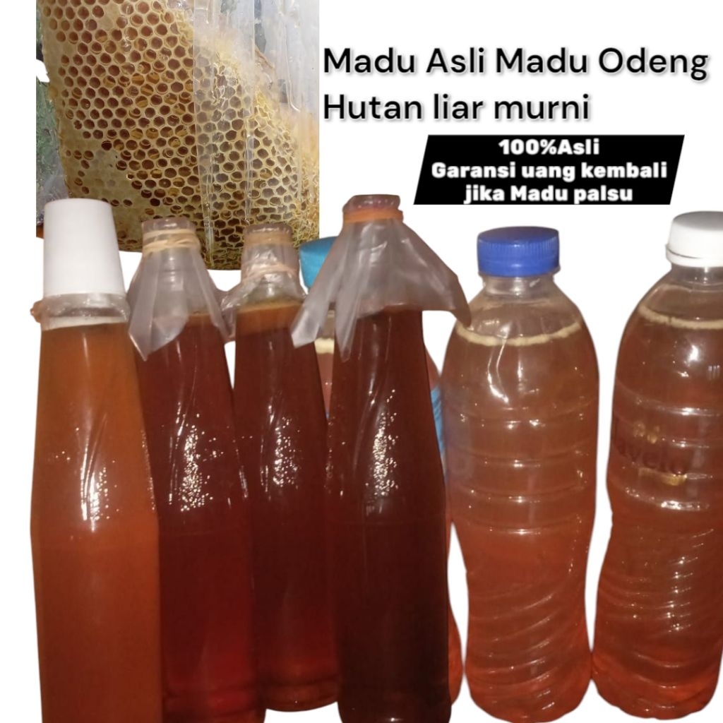 

Madu hutan asli madu Odeng Liar murni 100% Alamii