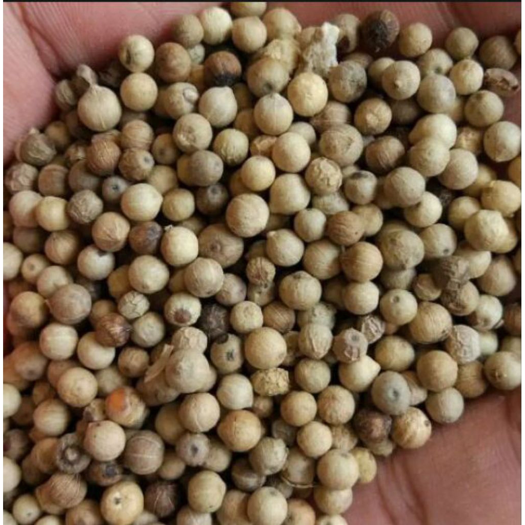 

Merica/Lada Putih 250 Gram