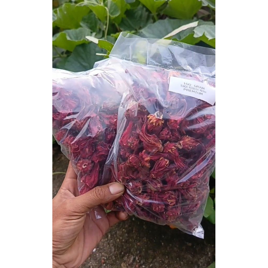 

BUNGA ROSELA KERING 100g untuk kesehatan tubuh,menjaga sendi2 Tulang