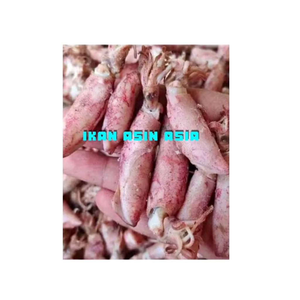 

ikan cumi asin/cumi asin murah/cumi asin gurih/cumi asin enak/1kg cumi asin