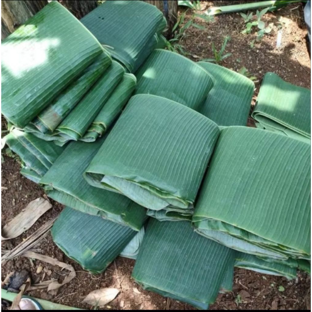 

Daun Pisang Segar 1KG