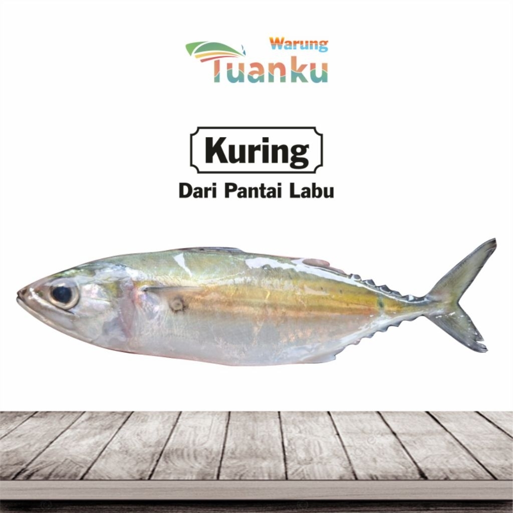 

Ikan Gembung Kuring Size 5 - Warung Tuanku
