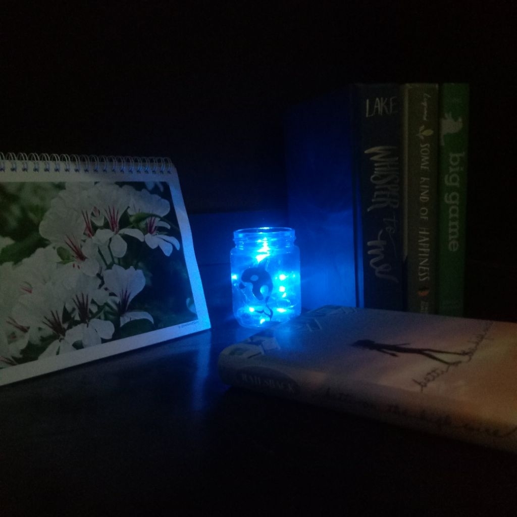 Lampu Tidur Botol Kaca Fairy Hiasan Ruangan Minimalis Cantik (ORCA EDITION)