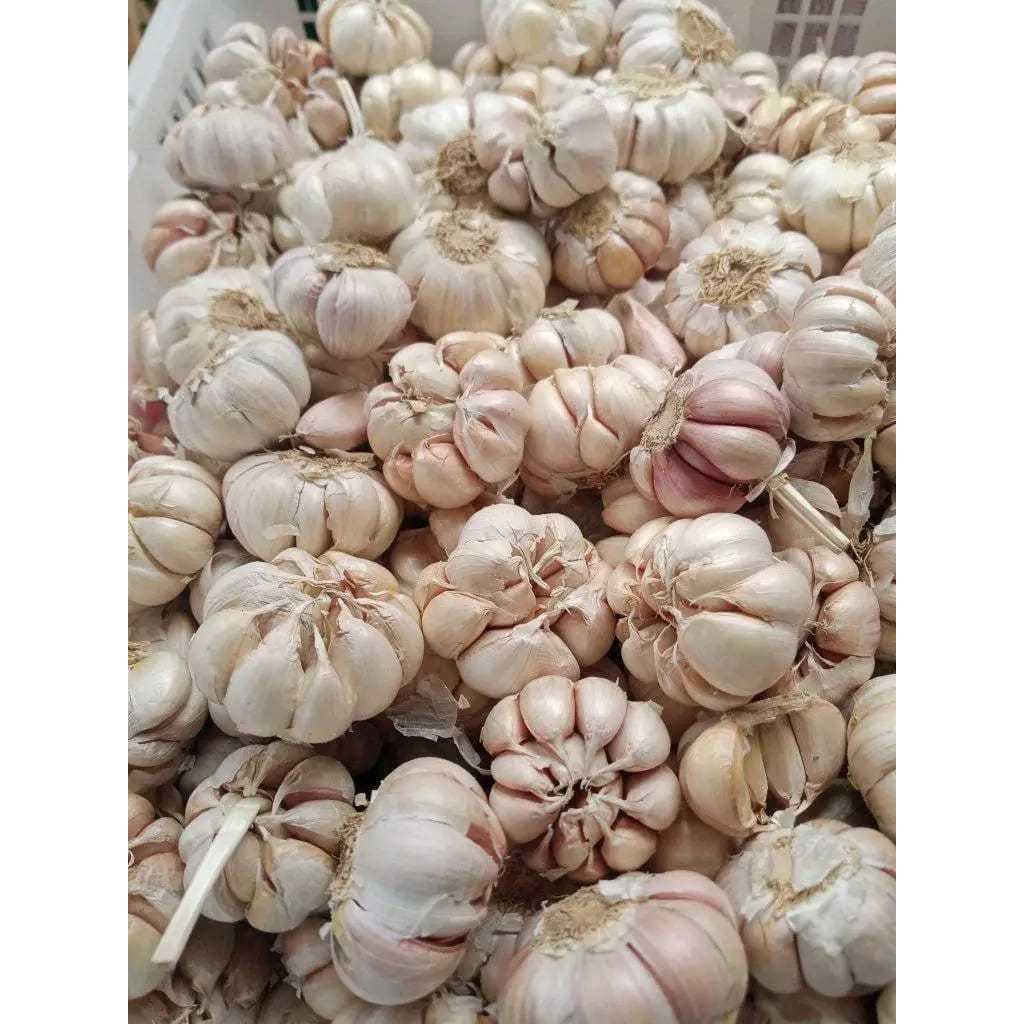 

bawang putih impor super