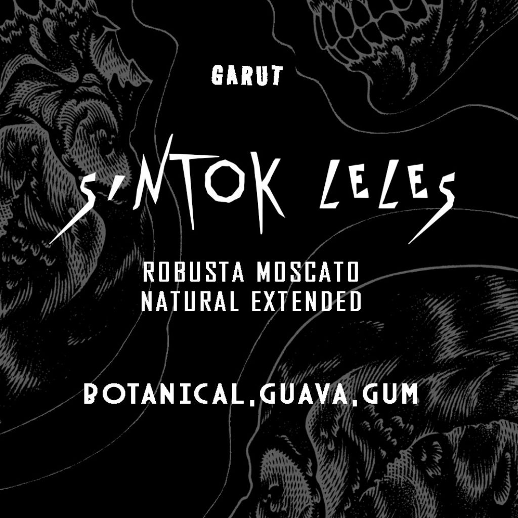 

robusta moscato filter coffee garut sintok leles biji kopi