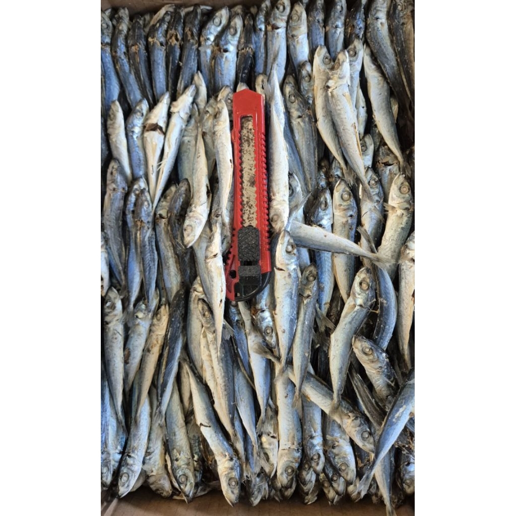 

ikan asin layang rebus